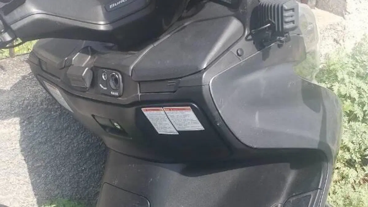 Suzuki Burgman AN 400 Limited Edition (2006 - 09)  (2)