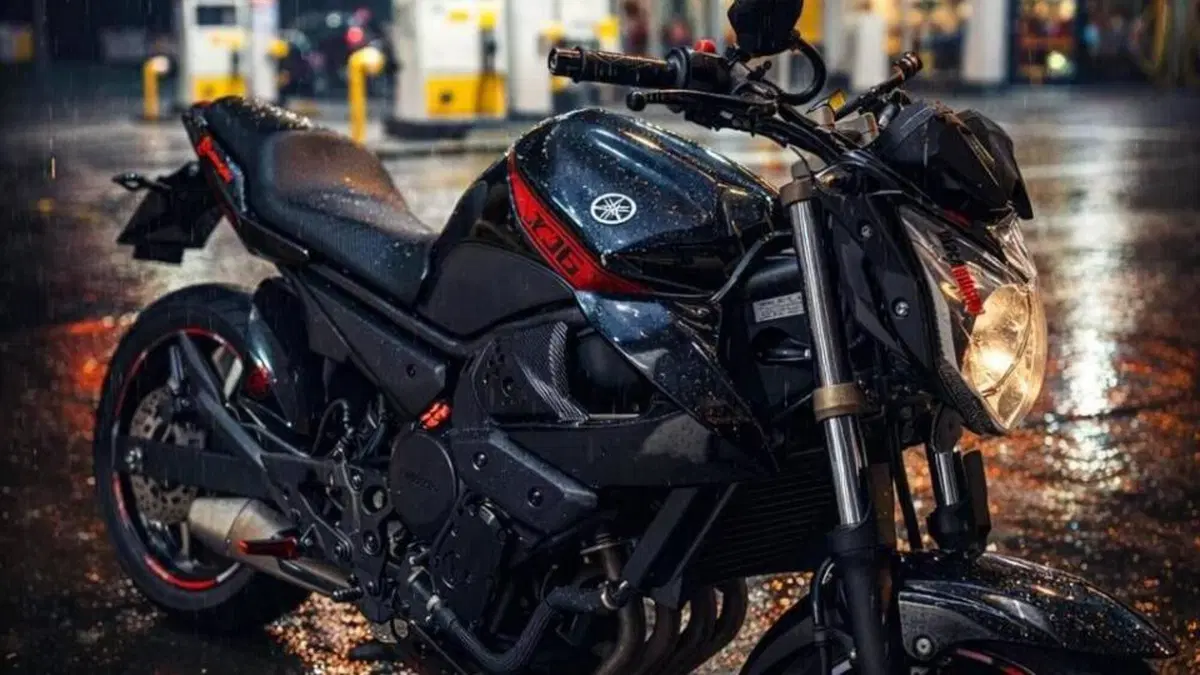 Yamaha XJ6 (2008 - 15)  (8)
