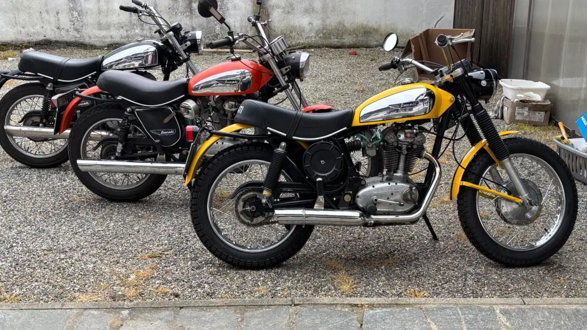 Ducati   (3)