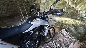 Betamotor Alp 4.0 (2024 - 26)  (2)