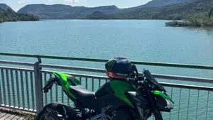Kawasaki Z 900 Performance (2019) 