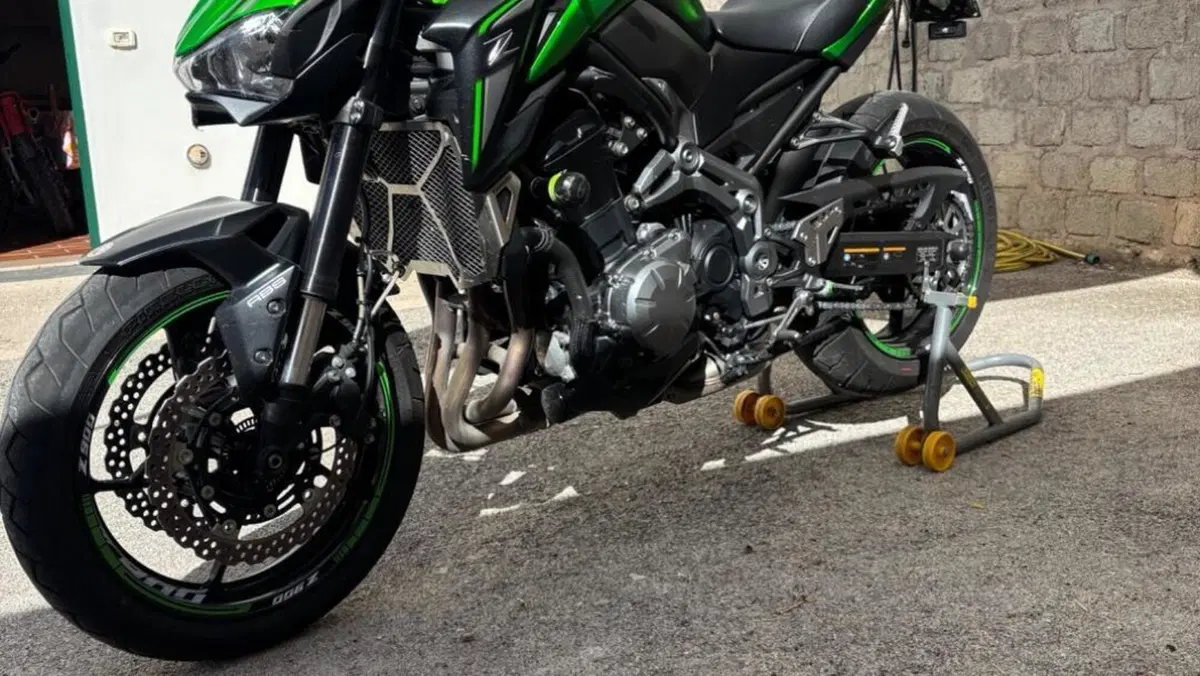 Kawasaki Z 900 Performance (2019)  (4)