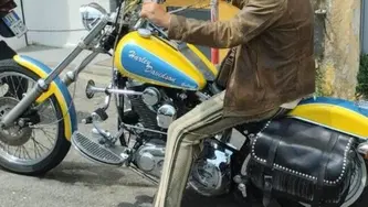 Harley-Davidson 1340 Custom (1989 - 98) usata