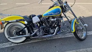 Harley-Davidson 1340 Custom (1989 - 98)  (3)