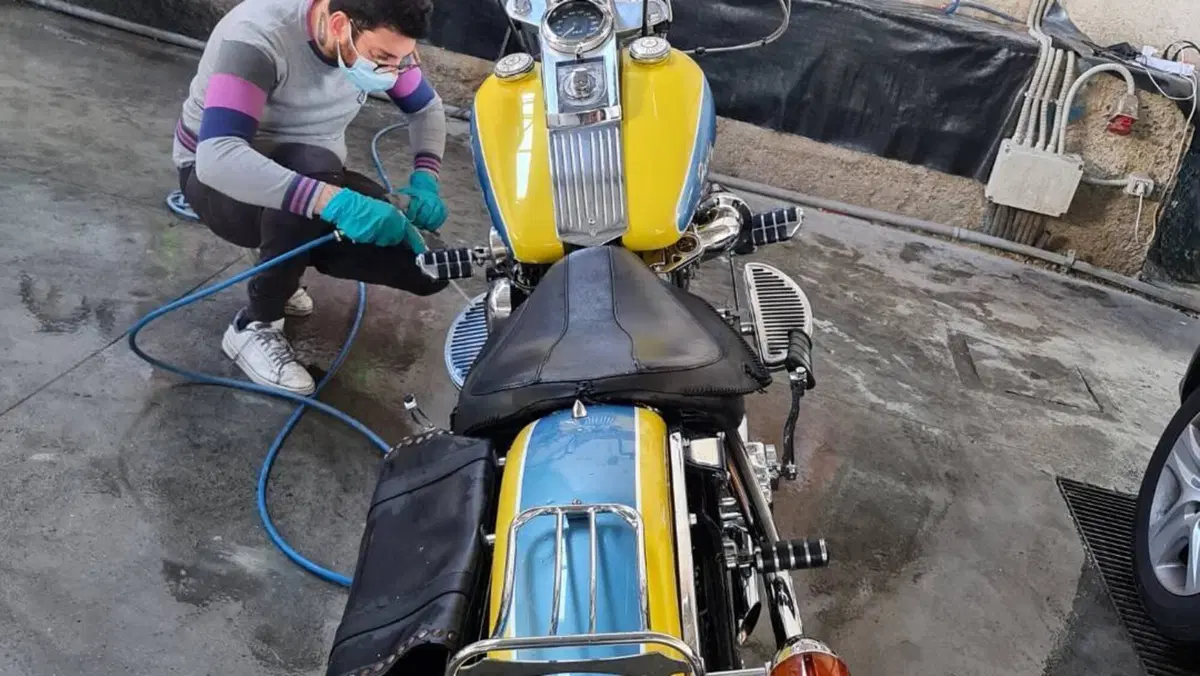 Harley-Davidson 1340 Custom (1989 - 98)  (6)