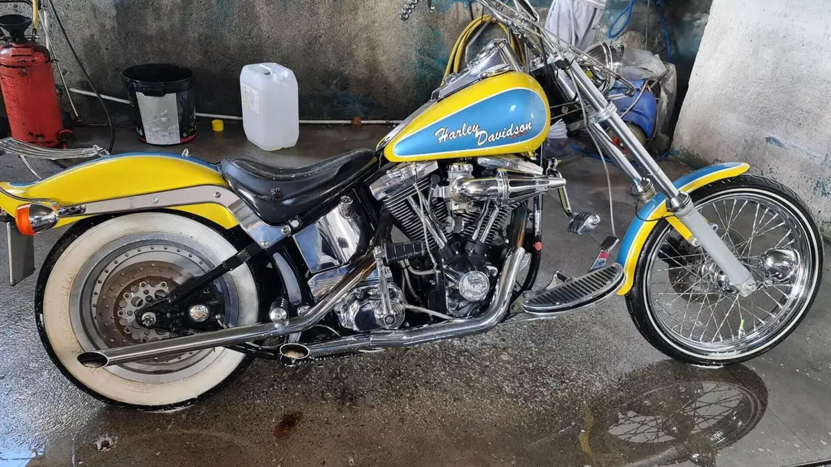 Harley-Davidson 1340 Custom (1989 - 98)  (7)