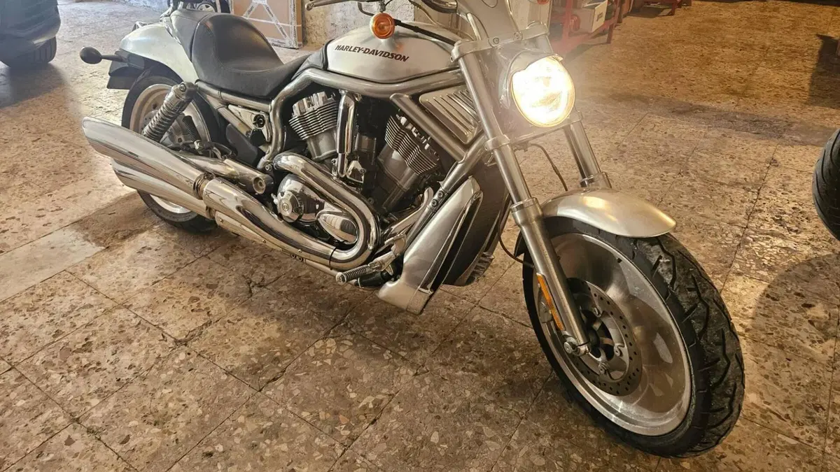 Harley-Davidson 1130 V-Rod (2006) - VRSCA  (3)