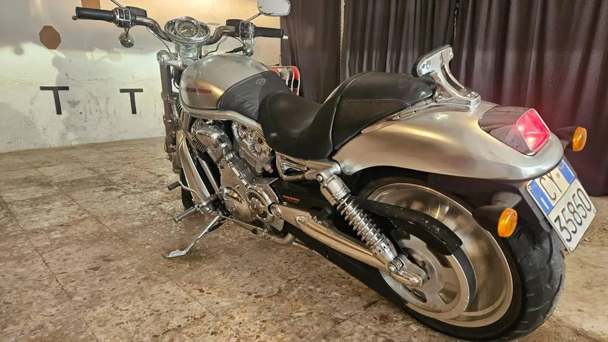 Harley-Davidson 1130 V-Rod (2006) - VRSCA  (6)