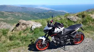 Yamaha MT-09 (2017 - 20)  (2)