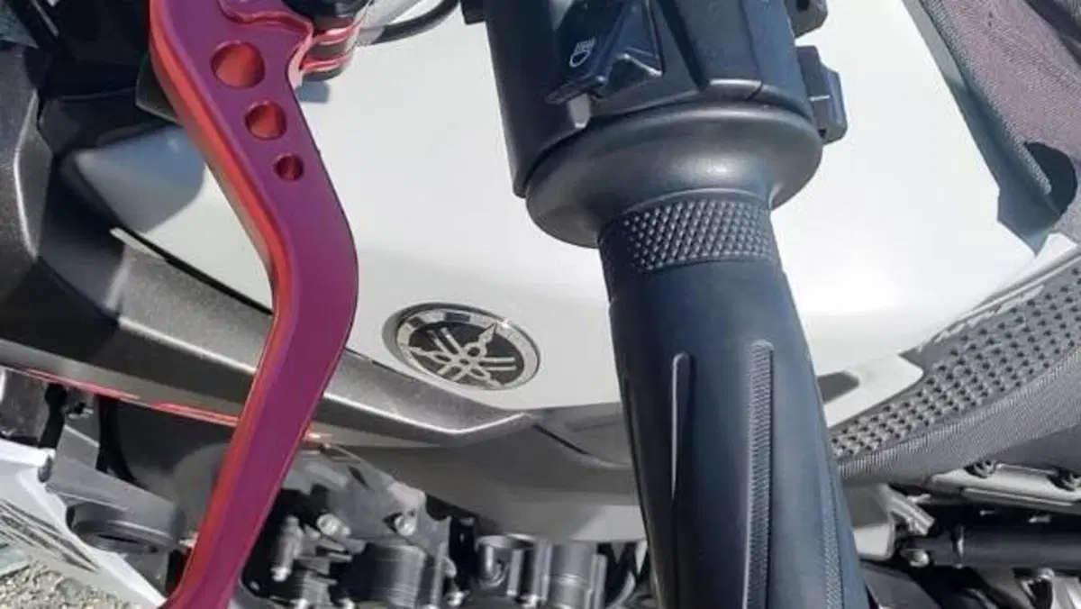 Yamaha MT-09 (2017 - 20)  (6)