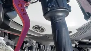 Yamaha MT-09 (2017 - 20)  (6)