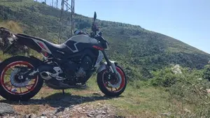 Yamaha MT-09 (2017 - 20)  (12)