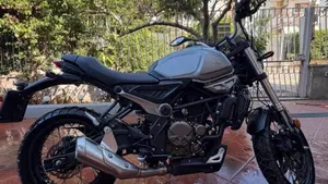Voge Trofeo 300ACX Scrambler (2021 - 26)  (2)