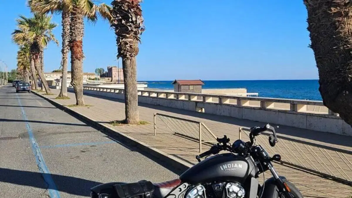 Indian Scout 1133 (2021 - 25)  (4)