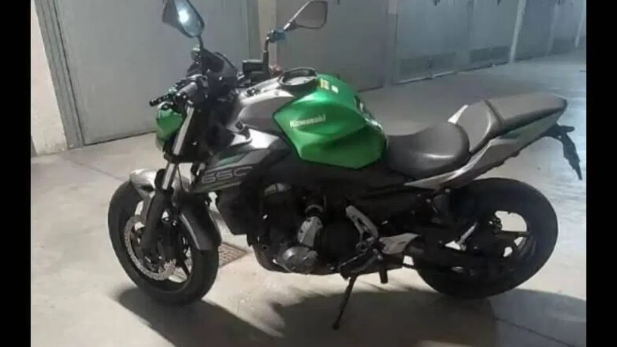Kawasaki Z 650 (2017 - 19)  (4)