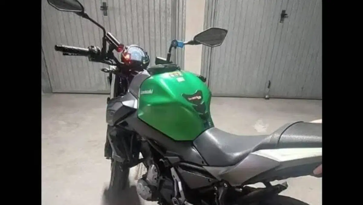 Kawasaki Z 650 (2017 - 19)  (6)