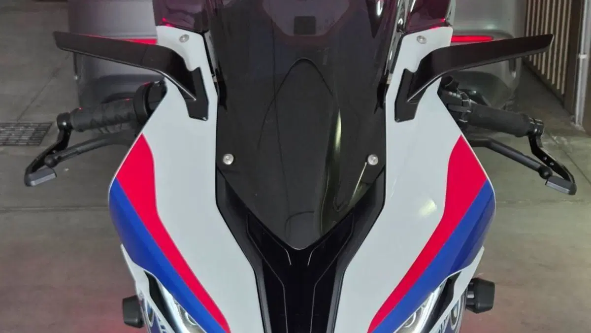 Bmw S 1000 RR (2019 - 20)  (4)