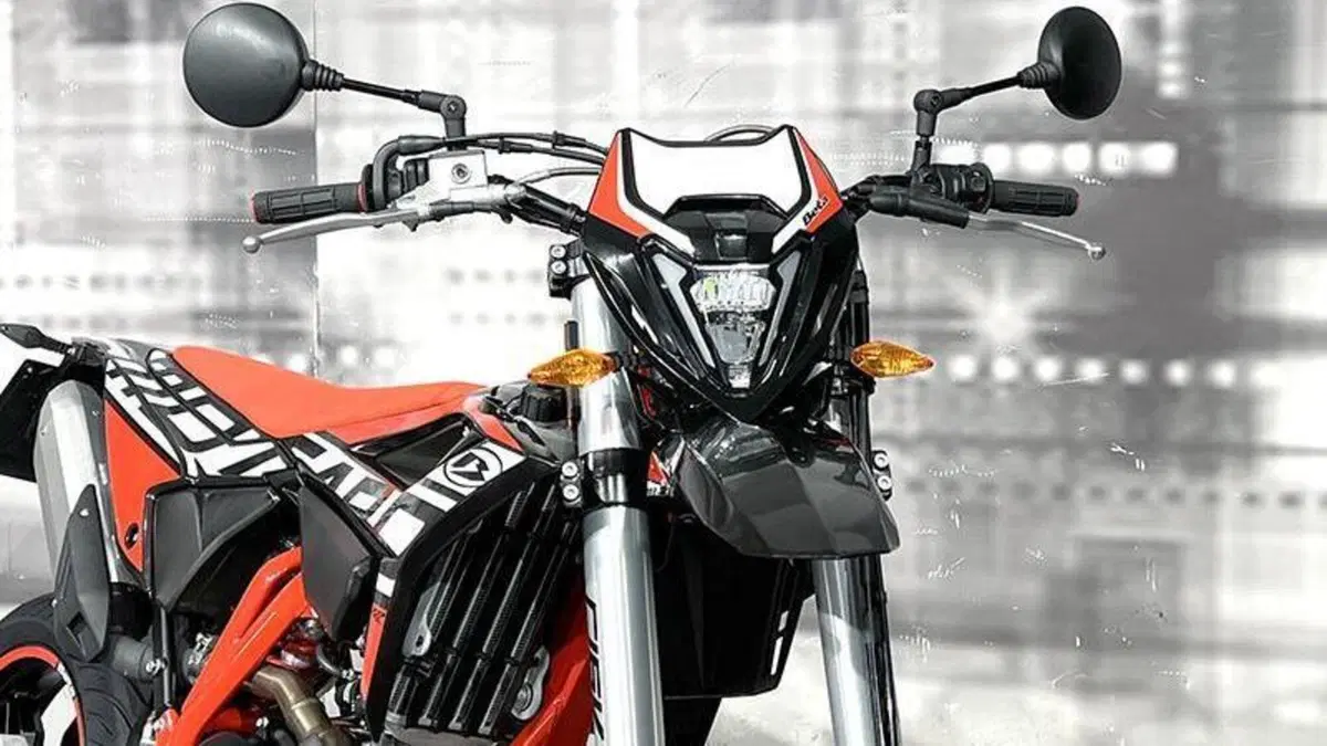 Betamotor RR 125 4T Motard LC (2021 - 23)  (9)