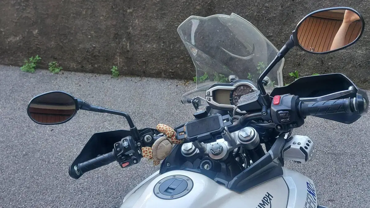 Triumph Tiger 800 XRx (2015 - 17)  (5)