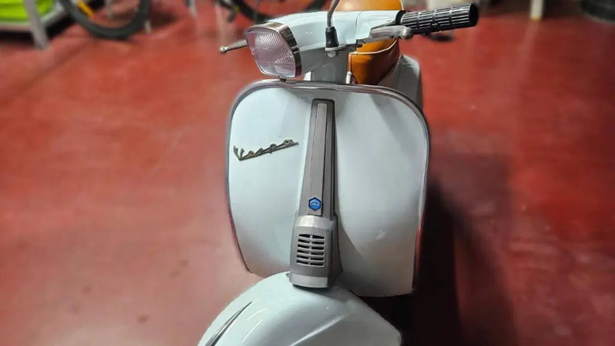 Piaggio   (3)