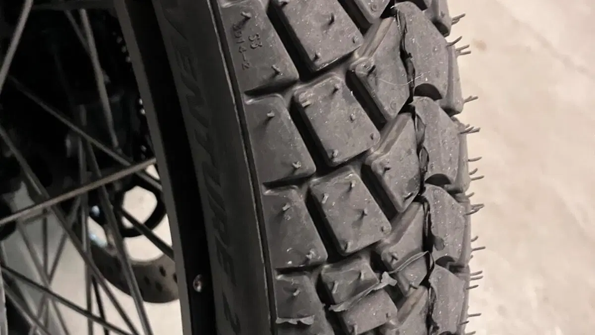 Triumph Tiger 900 Rally Pro (2024 - 26)  (5)