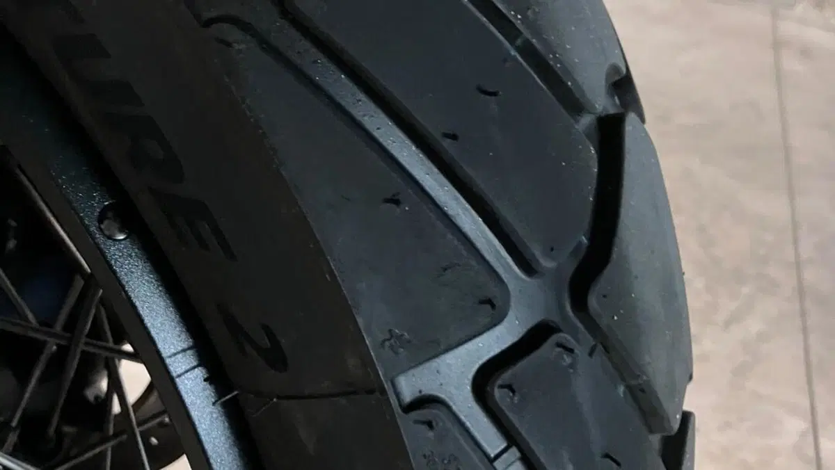Triumph Tiger 900 Rally Pro (2024 - 26)  (8)