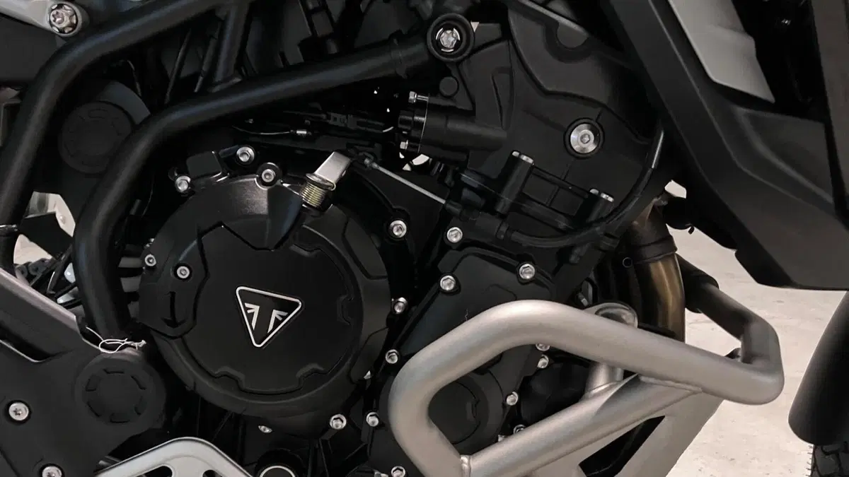 Triumph Tiger 900 Rally Pro (2024 - 26)  (13)