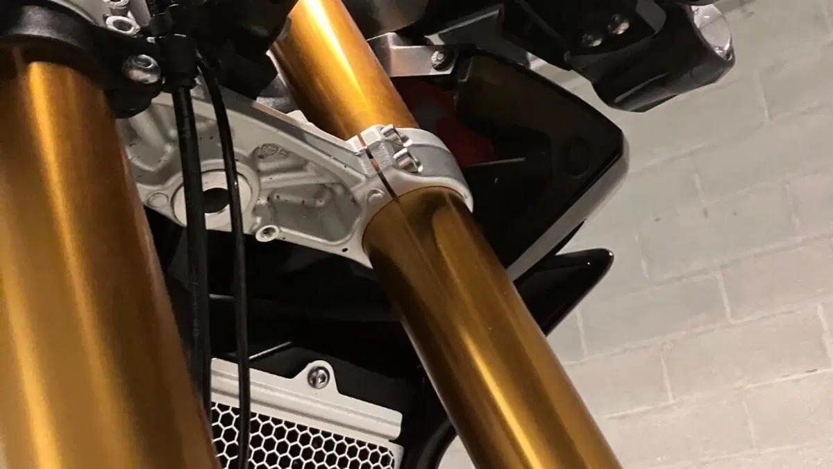 Triumph Tiger 900 Rally Pro (2024 - 26)  (15)