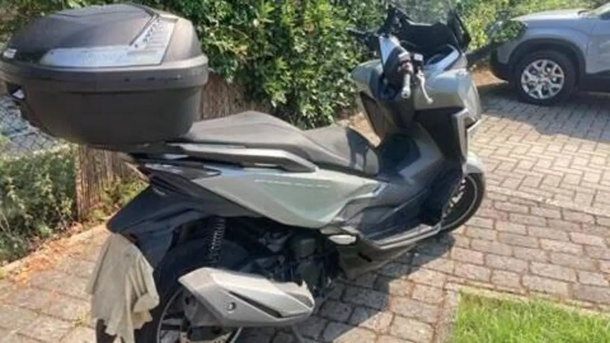 Honda Forza 350 (2022 - 24)  (3)