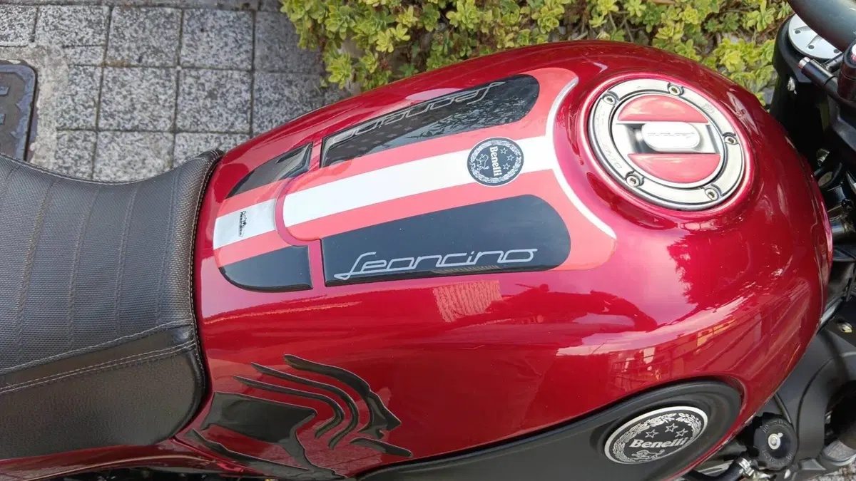 Benelli Leoncino 500 ABS (2017 - 20)  (3)