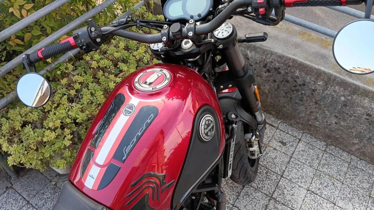 Benelli Leoncino 500 ABS (2017 - 20)  (2)