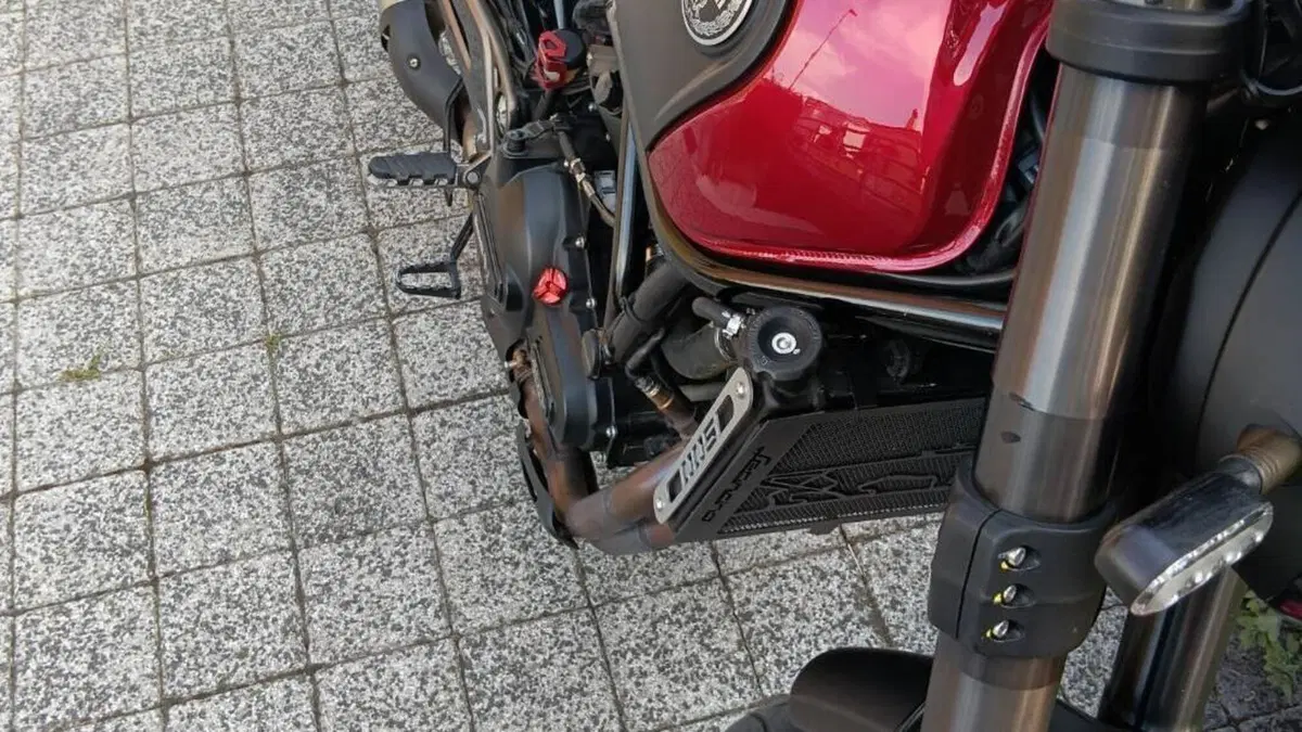 Benelli Leoncino 500 ABS (2017 - 20)  (5)