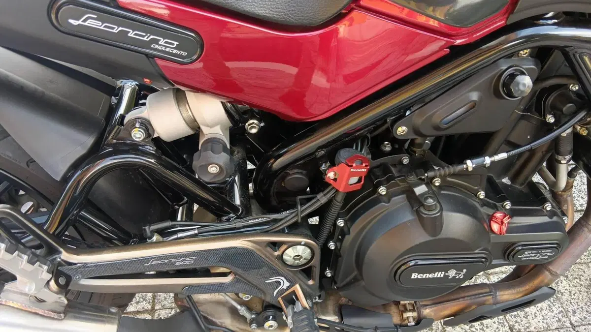 Benelli Leoncino 500 ABS (2017 - 20)  (6)