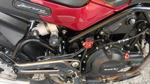 Benelli Leoncino 500 ABS (2017 - 20)  (6)