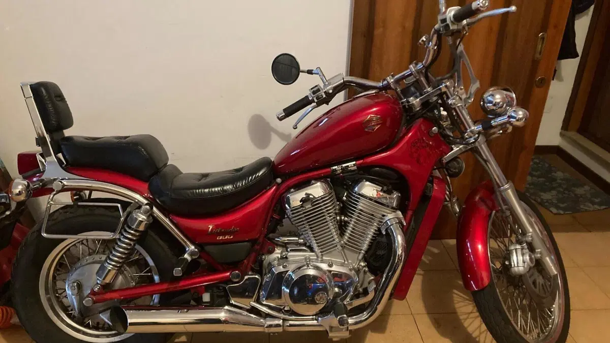 Suzuki   (3)