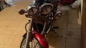 Suzuki   (7)