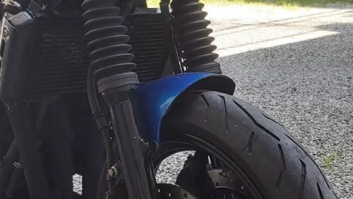 Yamaha FZS 600 Fazer (1998 - 01)  (6)