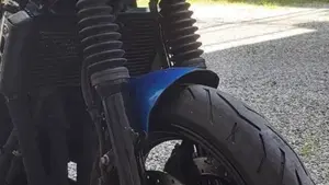 Yamaha FZS 600 Fazer (1998 - 01)  (6)