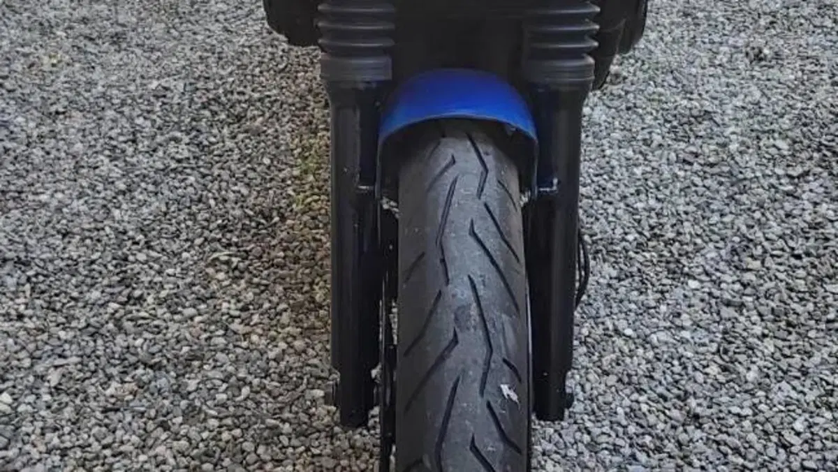 Yamaha FZS 600 Fazer (1998 - 01)  (10)
