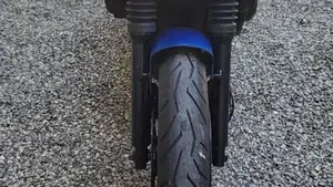 Yamaha FZS 600 Fazer (1998 - 01)  (10)