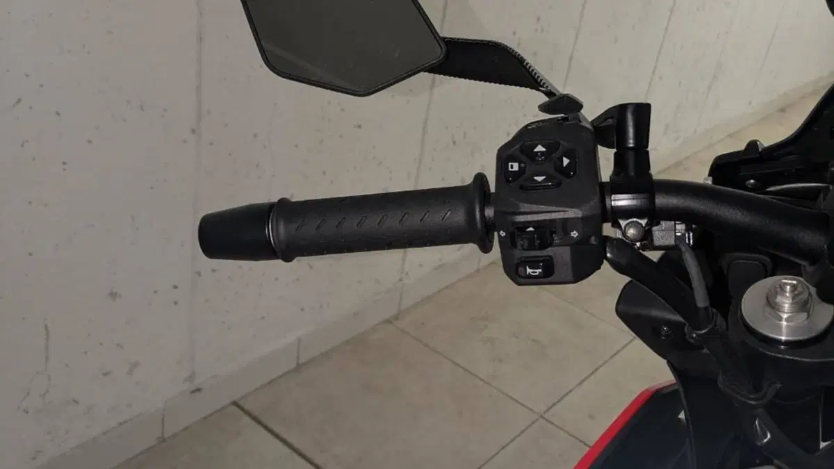 Aprilia Tuono 660 Factory (2022 - 24)  (5)