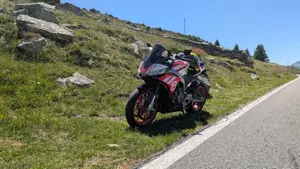 Aprilia Tuono 660 Factory (2022 - 24)  (6)