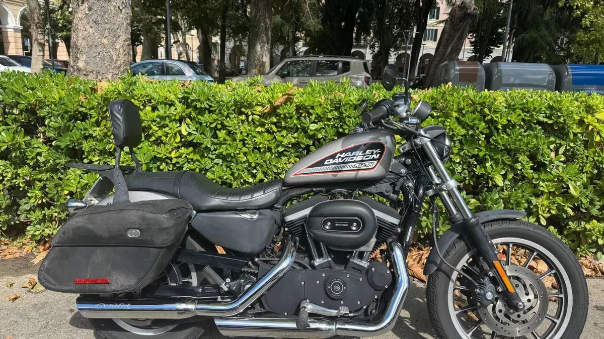 Harley-Davidson 883 R (2006 - 07) - XL 883R  (3)