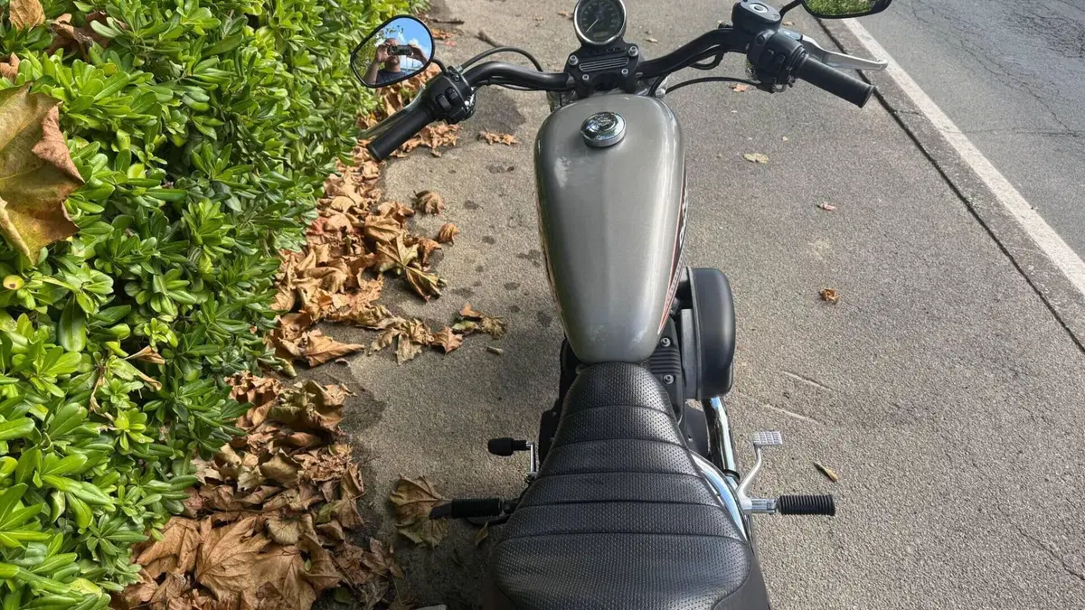 Harley-Davidson 883 R (2006 - 07) - XL 883R  (5)