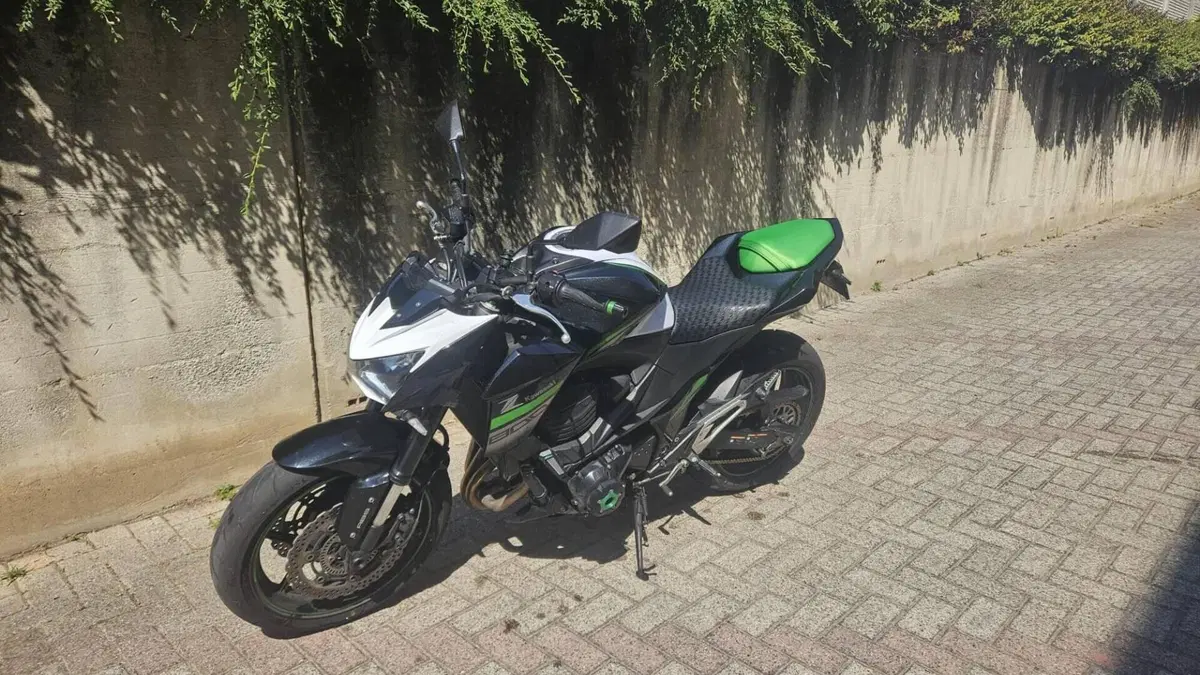 Kawasaki Z 800 ABS (2012 - 16) 