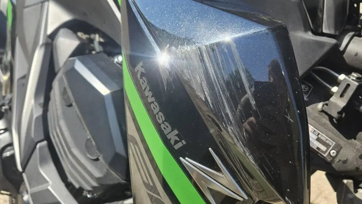 Kawasaki Z 800 ABS (2012 - 16)  (7)