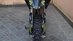 Triumph TF 450-E (2026)  (3)
