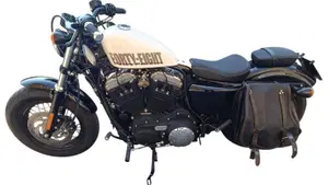 Harley-Davidson 1200 Forty-Eight (2010 - 15)  (2)