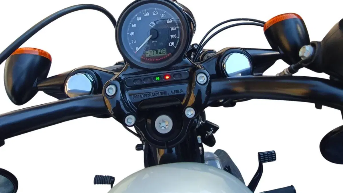 Harley-Davidson 1200 Forty-Eight (2010 - 15)  (7)