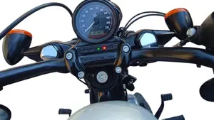 Harley-Davidson 1200 Forty-Eight (2010 - 15)  (7)